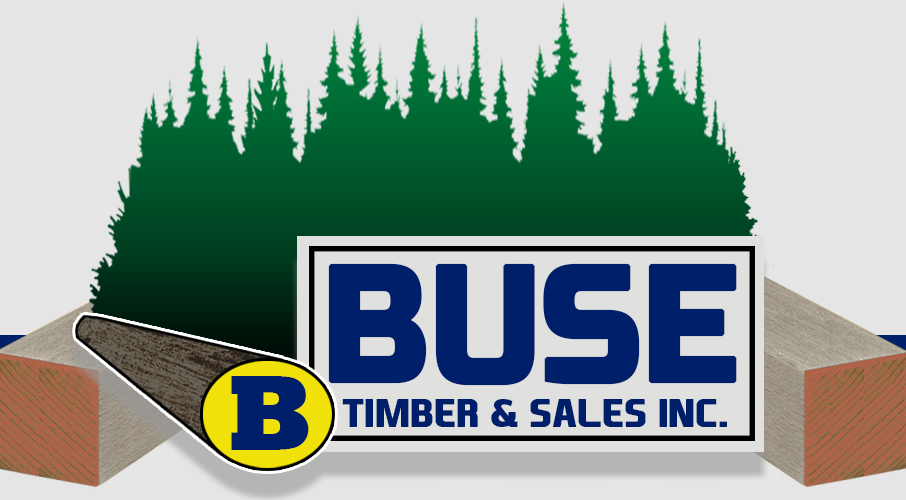 <strong>Lynx is pleased to announce the synergistic acquisition of Buse Timber & Sales Inc.</strong>